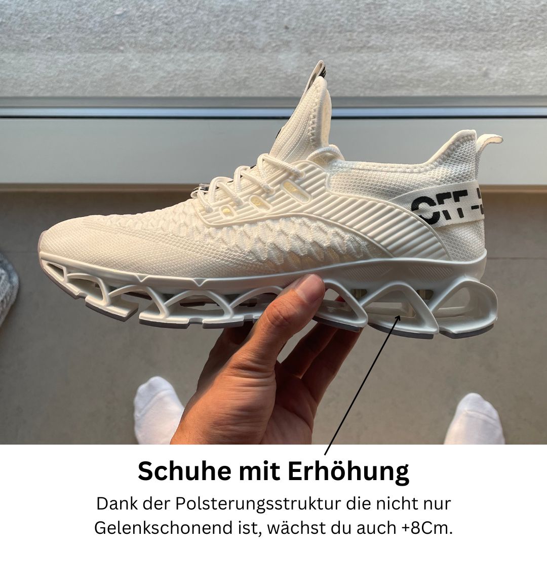 FlyHigh2.0