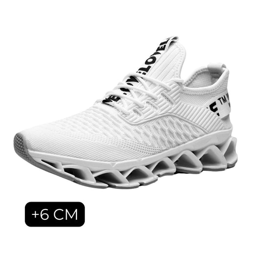FlyHigh2.0